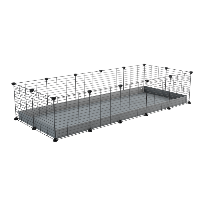 A cheap 5x2 C&C cage for guinea pig with grey coroplast and baby grids from brand kavee