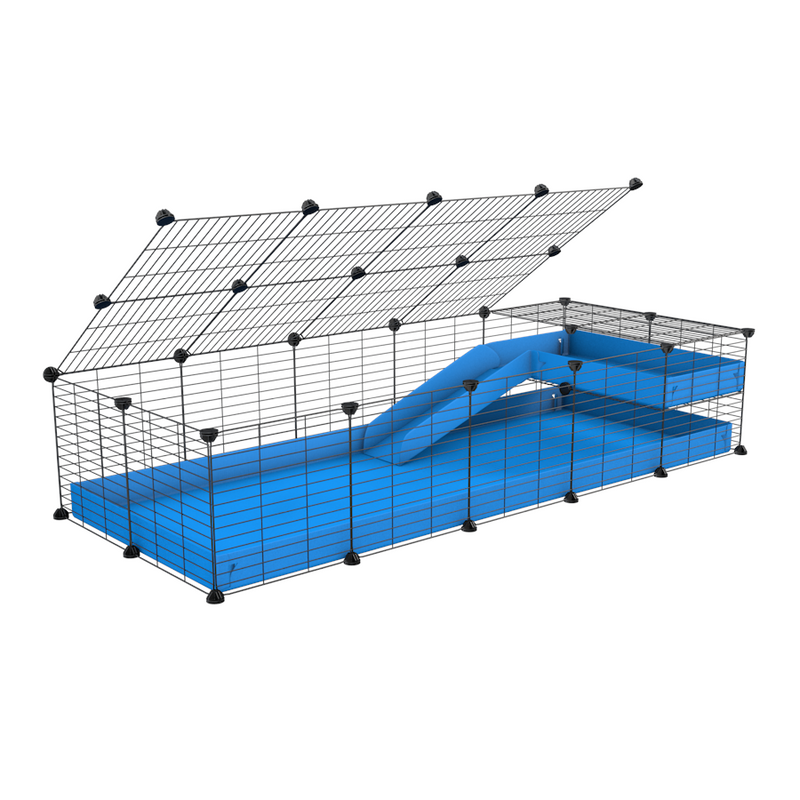 a 2x5 C and C guinea pig cage with loft ramp lid small hole size grids blue coroplast kavee