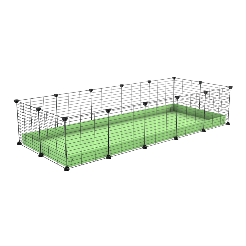 A cheap 5x2 C&C cage for guinea pig with green pastel pistachio coroplast and baby grids from brand kavee