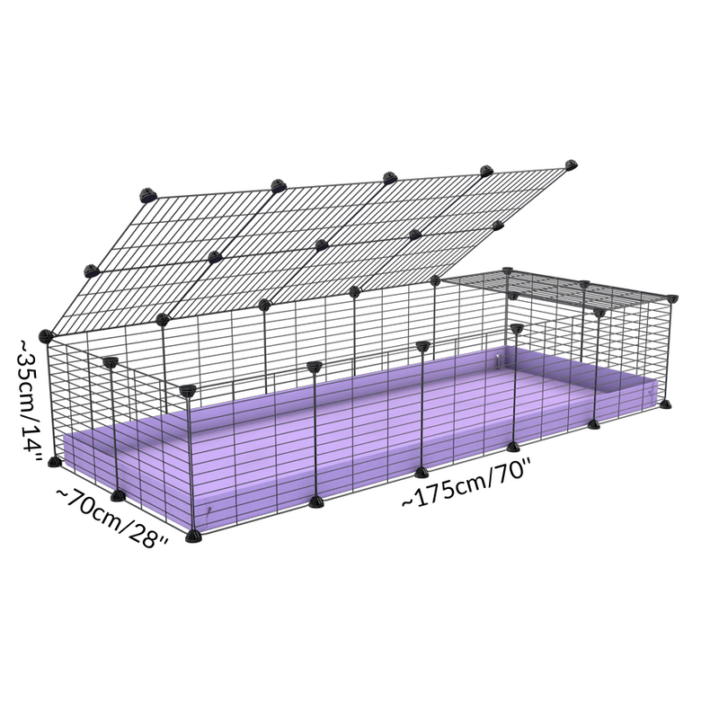 Size of A cheap 5x2 C&C cage for guinea pig with purple lilac pastel coroplast and baby grids from brand kavee
