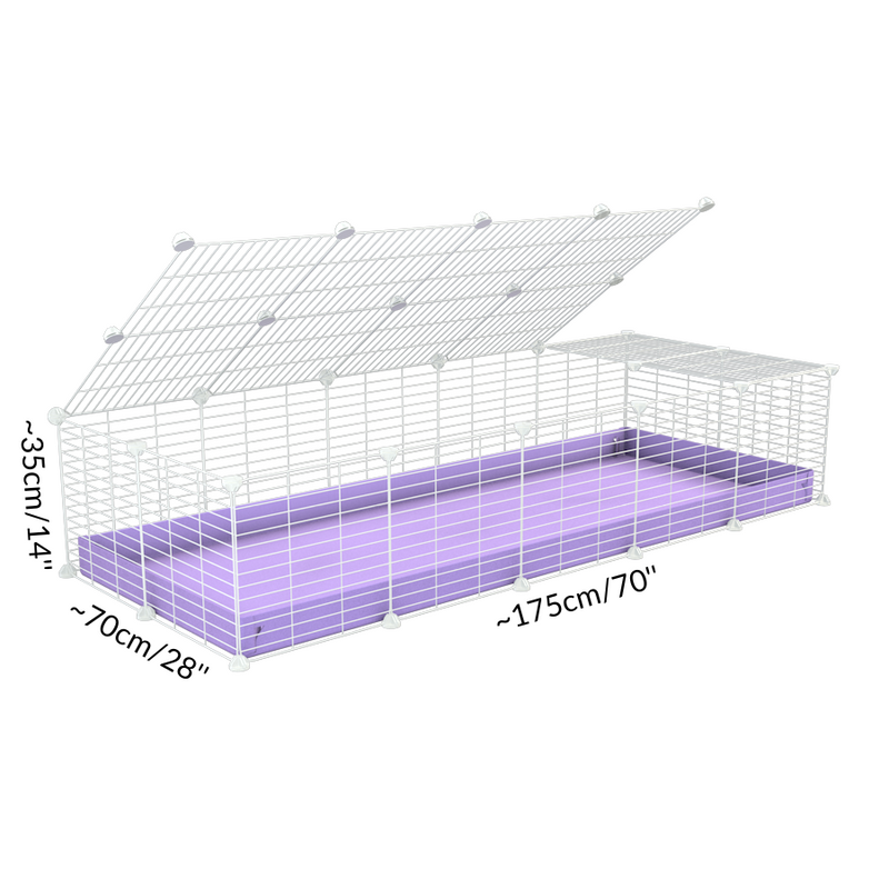 Dimensions of A 2x5 C and C cage for guinea pigs with lilac coroplast a lid and small hole white CC grids from brand kavee