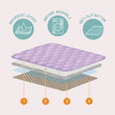 Potty-Proof Pads | Lap Liners for Guinea Pigs and Rabbits (Set of 3)