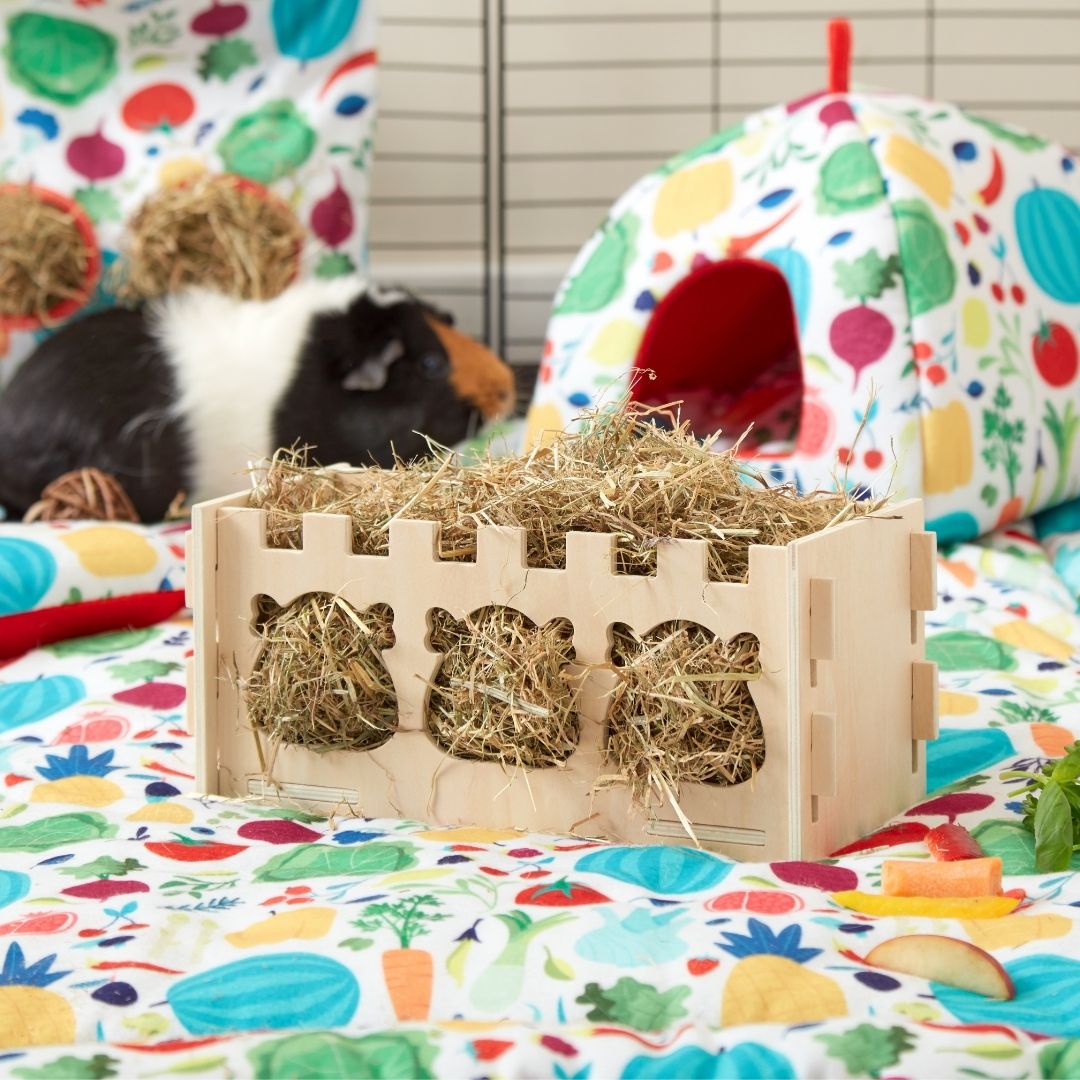 kavee fsc wooden hayrack full of hay on top of red veggie fleece liner with guinea pig in background