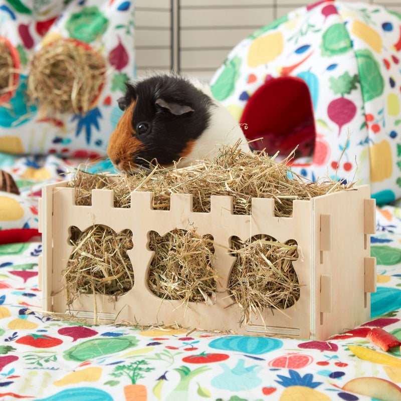 guinea pig eating hay out of kavee fsc wooden hay rack on top of a red veggie fleece liner and accessories