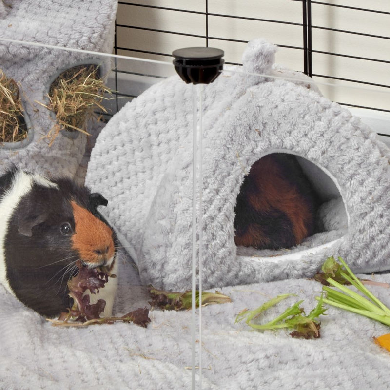 tri coloured guinea pig inside of kavee hidey house grey