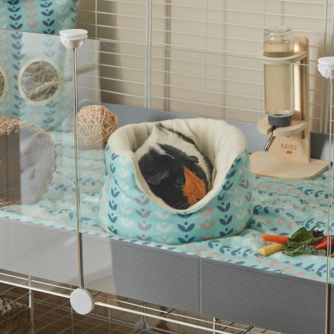 tri coloured guinea pig inside of a kavee scandi abstract cuddle cup on kavee fleece liner