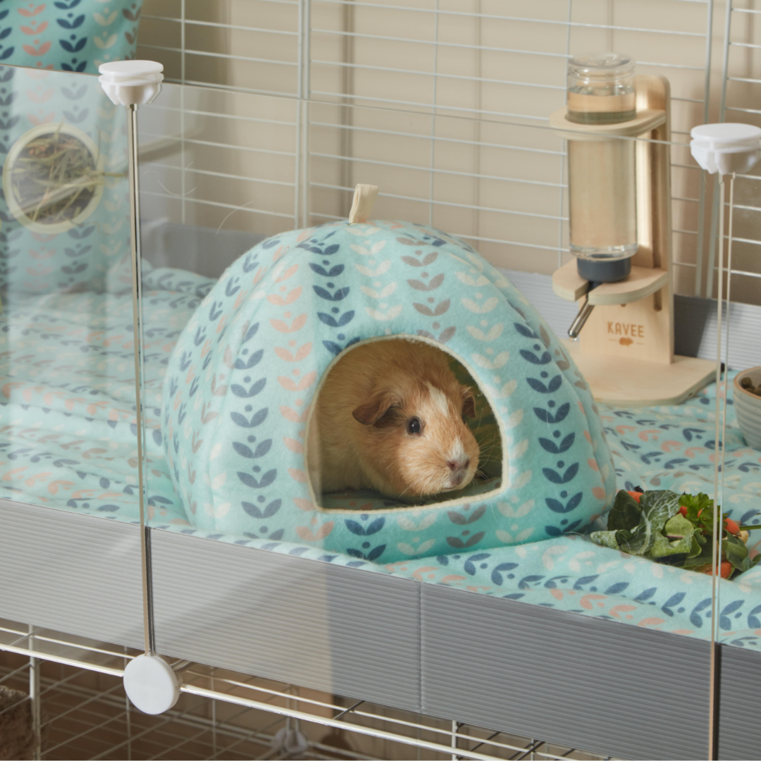 ginger and white guinea pig inside of kavee c and c scandi abstract cuddle cup on top of