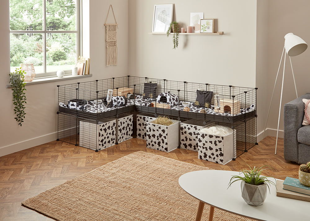A 8x2 L-shape white C&C cage with divider and stand loft ramp for guinea pig fighting or quarantine with black correx from brand kavee