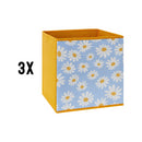 Set of Storage Boxes | Daisy