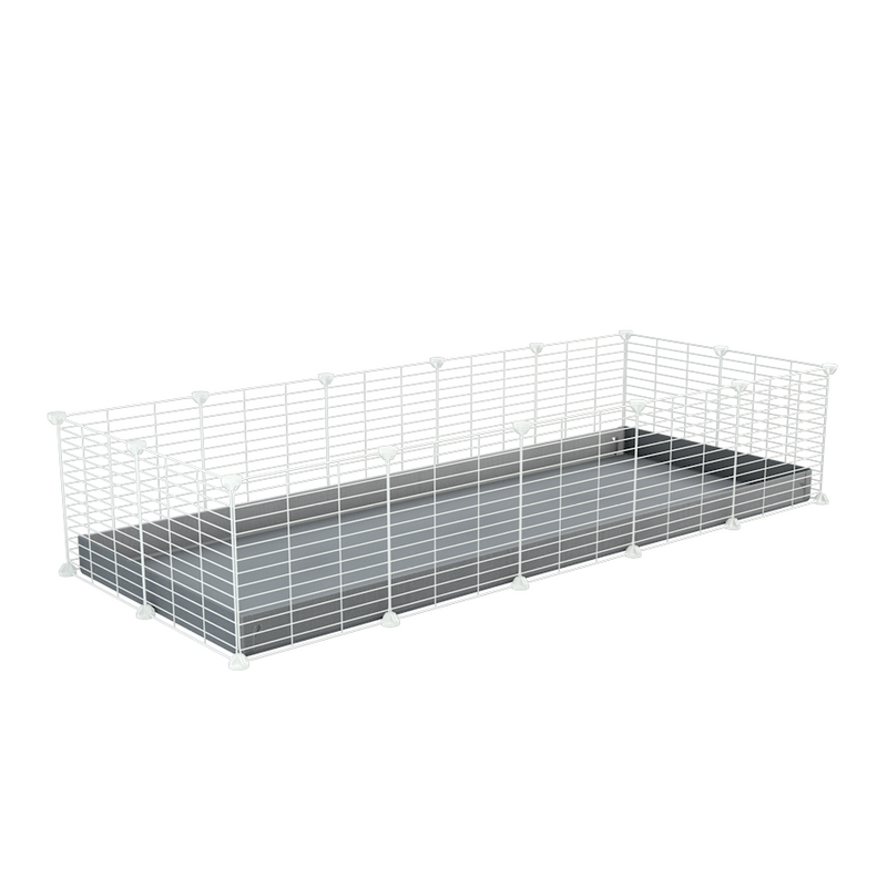 A cheap 5x2 C&C cage for guinea pig with grey coroplast and baby proof white CC grids from brand kavee