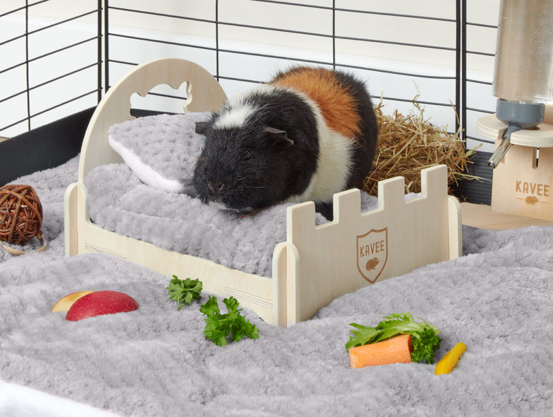 A tri coloured guinea pig on top of a kavee c and c caged fsc wooden bed with kavee grey pillow and fleeceliner.