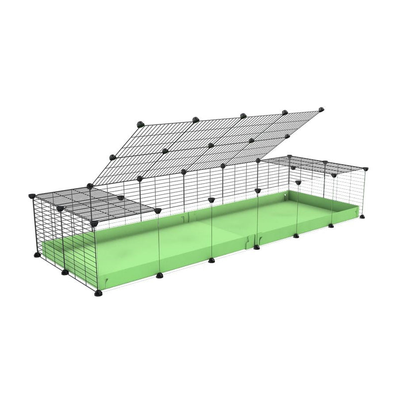 A 2x6 C and C cage with clear transparent plexiglass acrylic grids  for guinea pigs with green pastel pistachio coroplast a lid and small hole grids from brand kavee