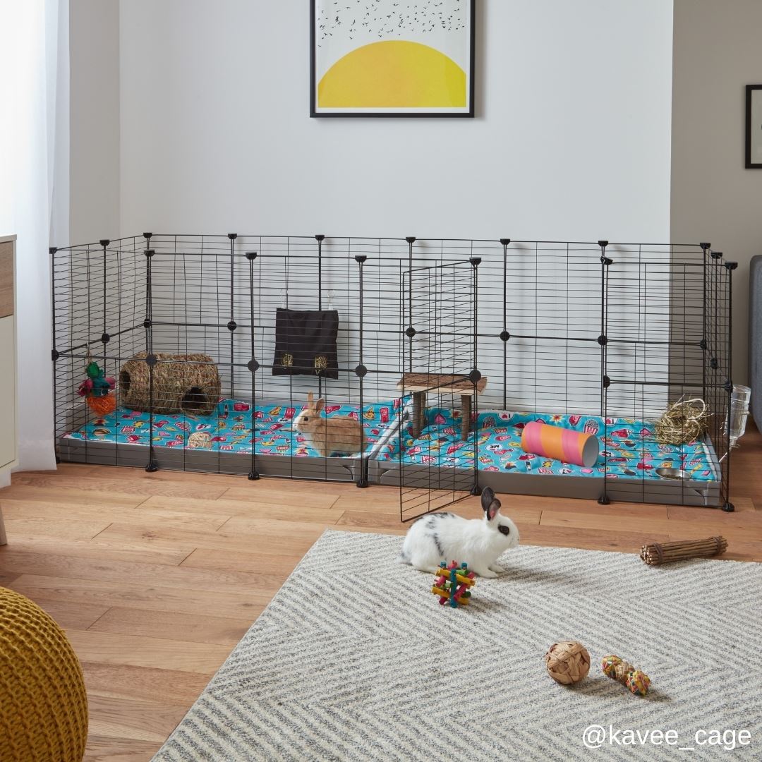 Rabbit pen sales