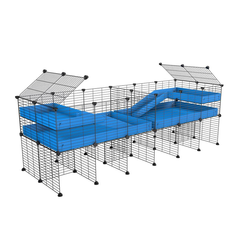 A 6x2 C&C cage with divider and stand loft ramp for guinea pig fighting or quarantine with blue coroplast from brand kavee