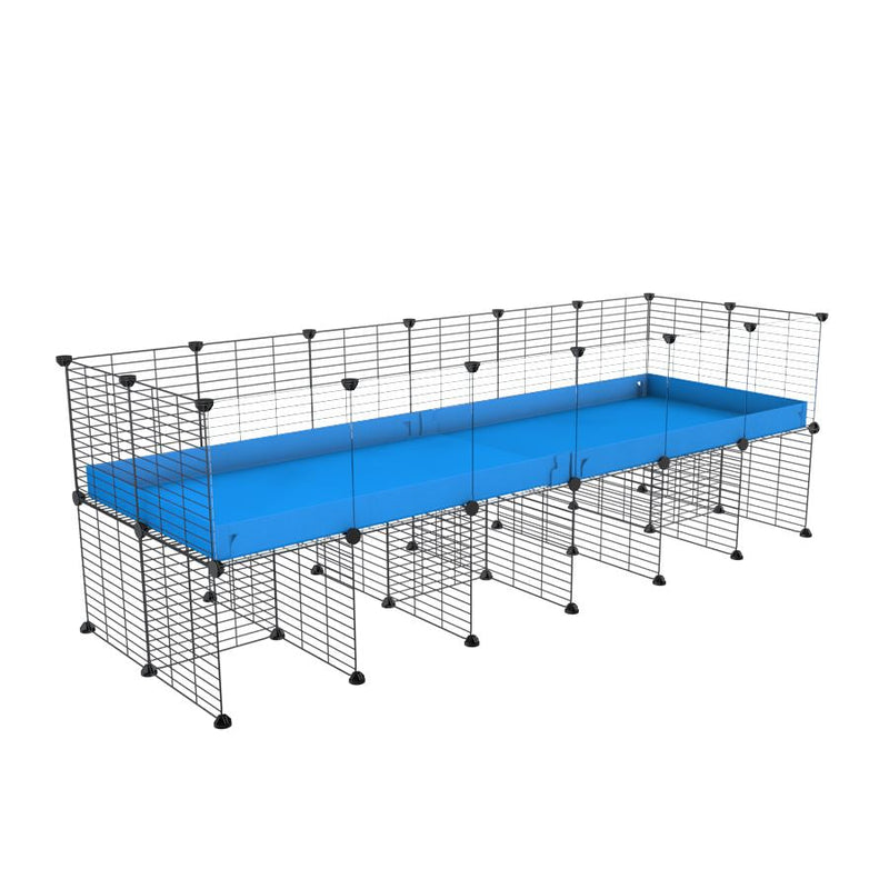 a 6x2 CC cage with clear transparent plexiglass acrylic panels  for guinea pigs with a stand blue correx and grids sold in UK by kavee