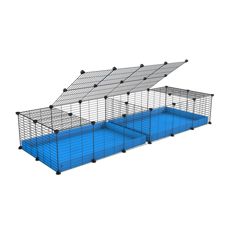 A 6x2 C&C cage with lid divider for guinea pig fighting or quarantine with blue coroplast from brand kavee