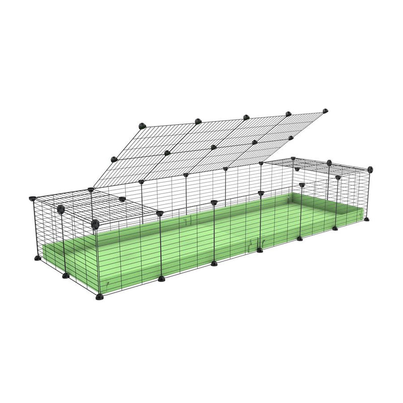 A 2x6 C and C cage for guinea pigs with green pastel pistachio coroplast a lid and small hole grids from brand kavee