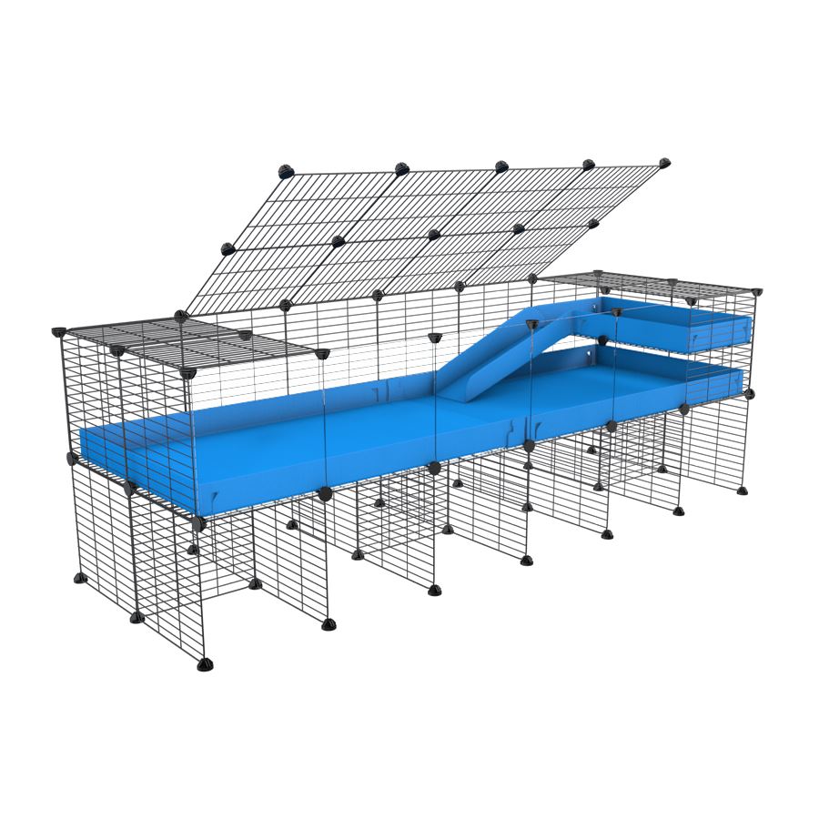 A 2x6 C and C guinea pig cage with clear transparent plexiglass acrylic panels  with stand loft ramp lid small size meshing safe grids blue correx sold in UK