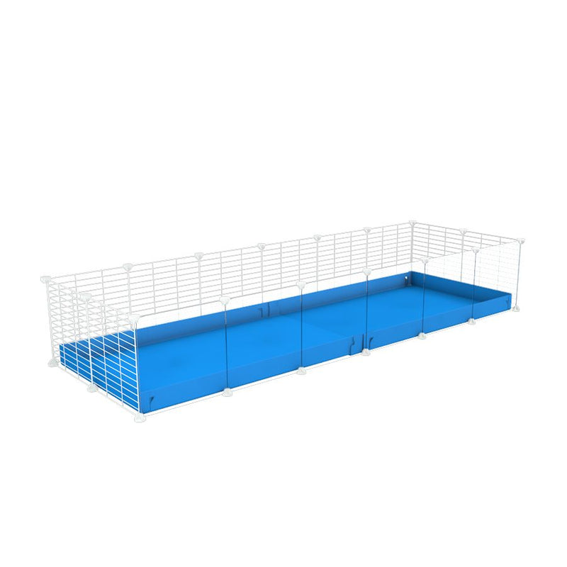 A cheap 6x2 C&C cage with clear transparent perspex acrylic windows  for guinea pig with blue coroplast and baby proof white CC grids from brand kavee