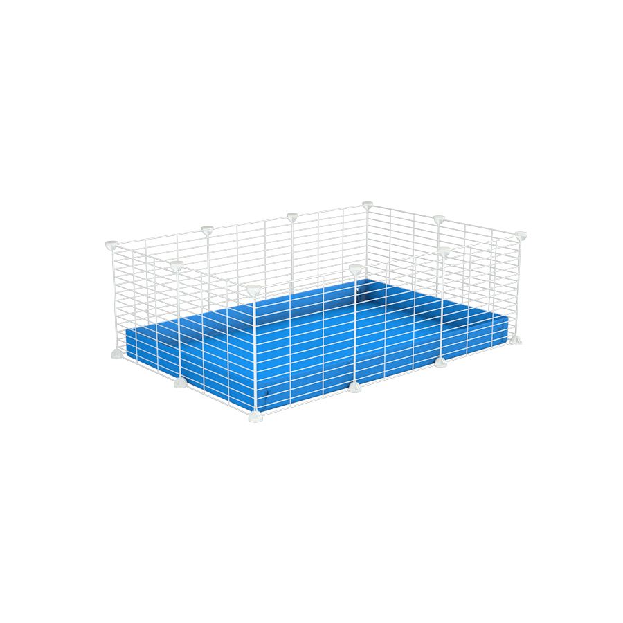 A cheap 3x2 C&C cage for guinea pig with blue coroplast and baby proof white C and C grids from brand kavee