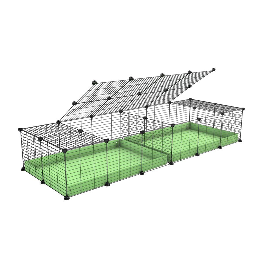 A 6x2 C&C cage with lid divider for guinea pig fighting or quarantine with green coroplast from brand kavee