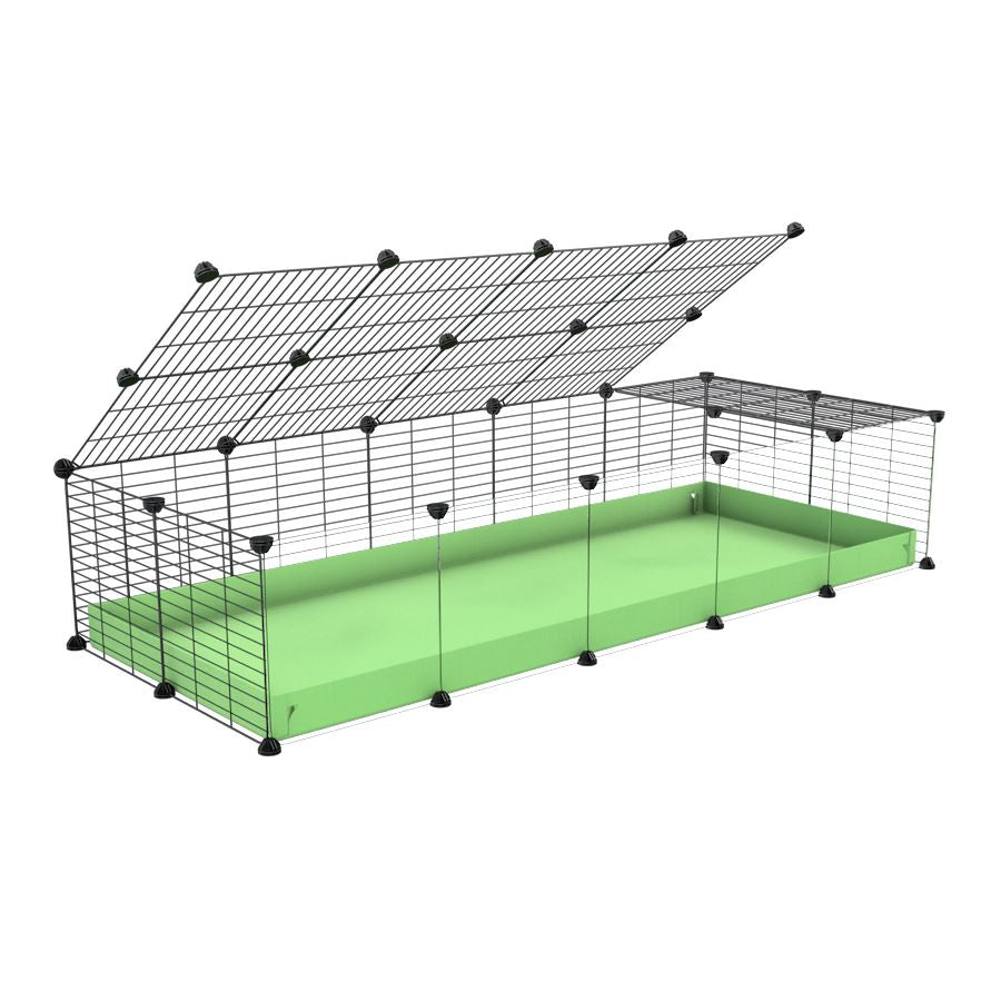 A 2x5 C and C cage with clear transparent plexiglass acrylic grids  for guinea pigs with green pastel pistachio coroplast a lid and small hole grids from brand kavee