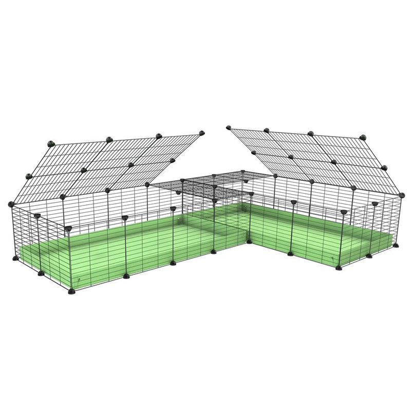 A 8x2 L-shape C&C cage with lid divider for guinea pig fighting or quarantine with green coroplast from brand kavee